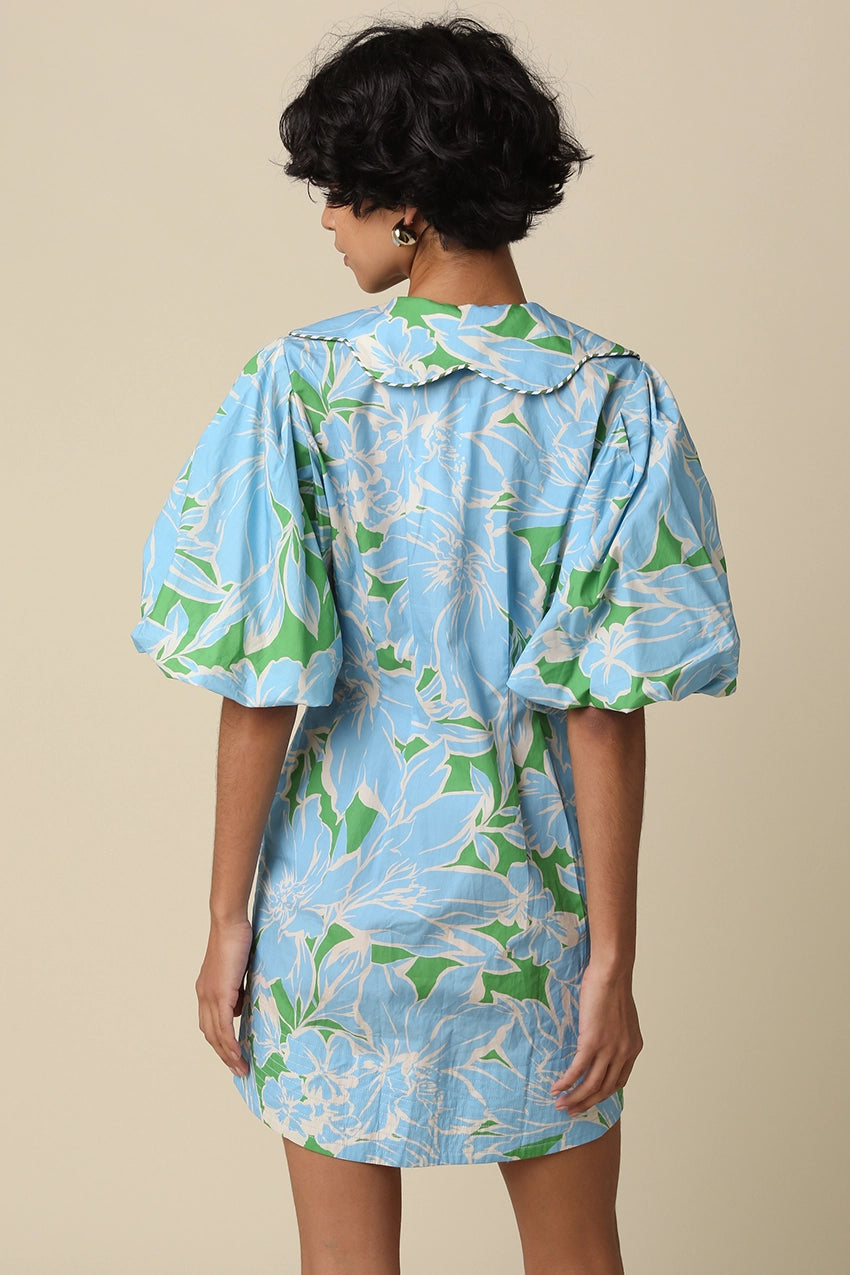 Skyla Flora Puff Sleeve Dress